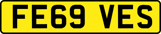 FE69VES