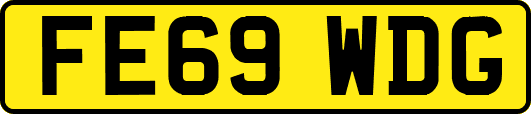 FE69WDG