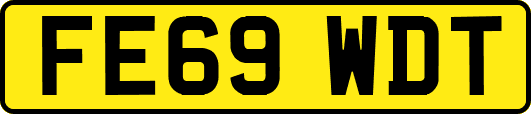 FE69WDT