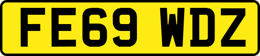 FE69WDZ