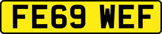 FE69WEF