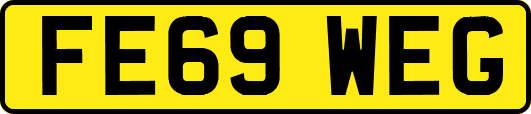 FE69WEG