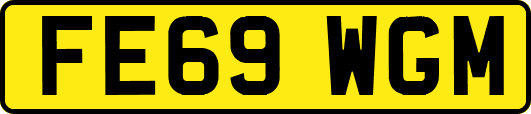 FE69WGM