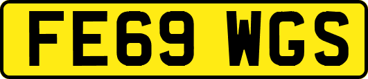 FE69WGS