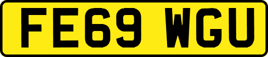 FE69WGU
