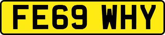 FE69WHY
