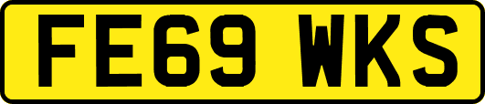 FE69WKS