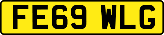 FE69WLG
