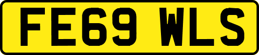 FE69WLS
