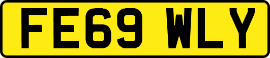 FE69WLY