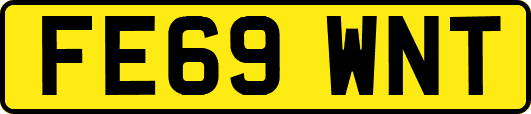 FE69WNT
