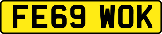 FE69WOK