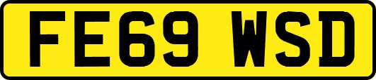 FE69WSD