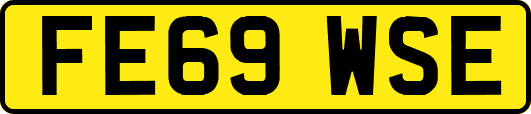 FE69WSE