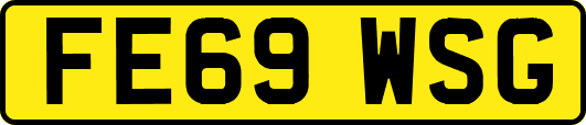 FE69WSG