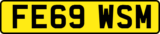FE69WSM