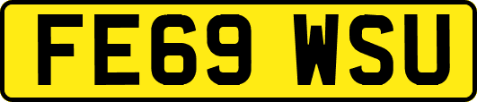 FE69WSU