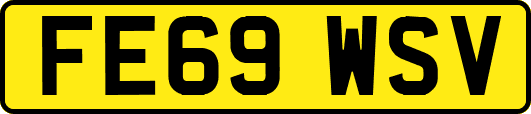 FE69WSV