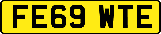 FE69WTE