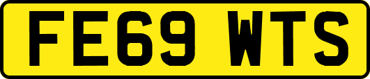 FE69WTS