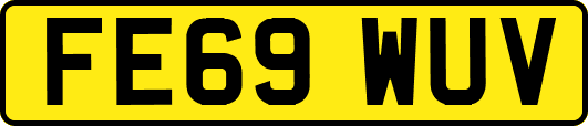 FE69WUV