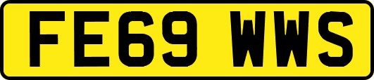 FE69WWS