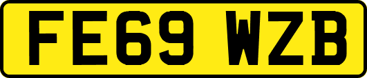 FE69WZB
