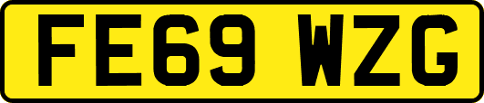 FE69WZG