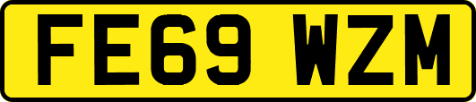 FE69WZM