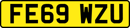 FE69WZU