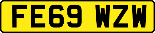 FE69WZW