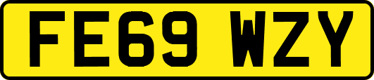 FE69WZY