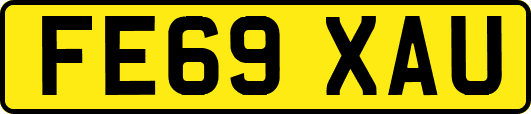 FE69XAU