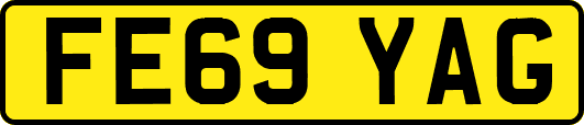 FE69YAG