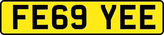 FE69YEE