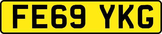 FE69YKG