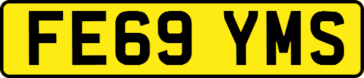 FE69YMS