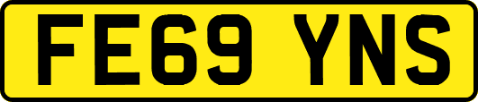 FE69YNS