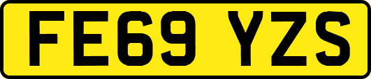 FE69YZS