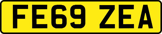 FE69ZEA