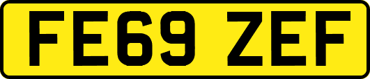 FE69ZEF