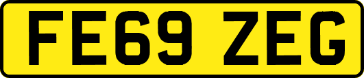 FE69ZEG