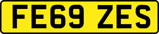 FE69ZES