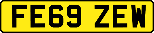 FE69ZEW