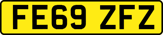 FE69ZFZ