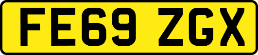 FE69ZGX
