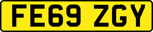 FE69ZGY