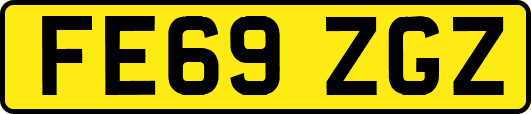 FE69ZGZ