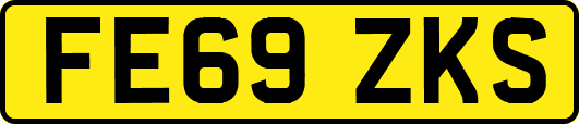 FE69ZKS