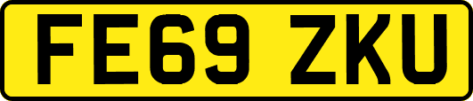 FE69ZKU